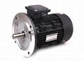 Y series three-phase  motor