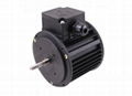 three-phase fan motor  1