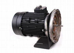 three- phase water pump motor