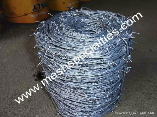 Galvanized Chain Link Mesh (Factory) 4