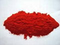 Chili Powder 1