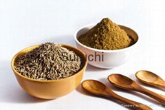 Cumin Seed