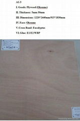 Okoume Plywood