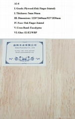  Oak Finger Jointed Plywood