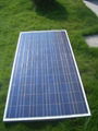 156*156mm Poly-crystalline solar module