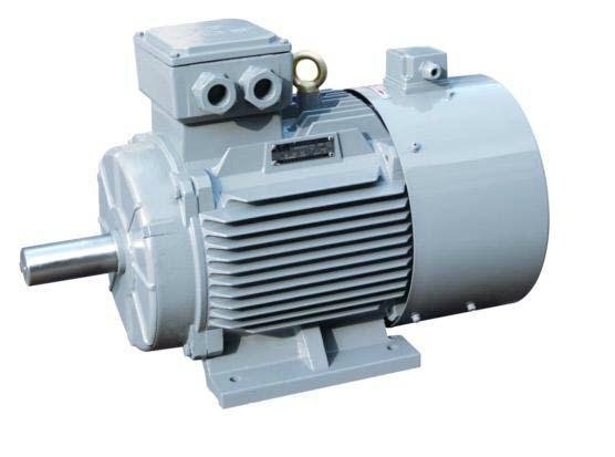 Three Phase Industrial Electric Motor 2