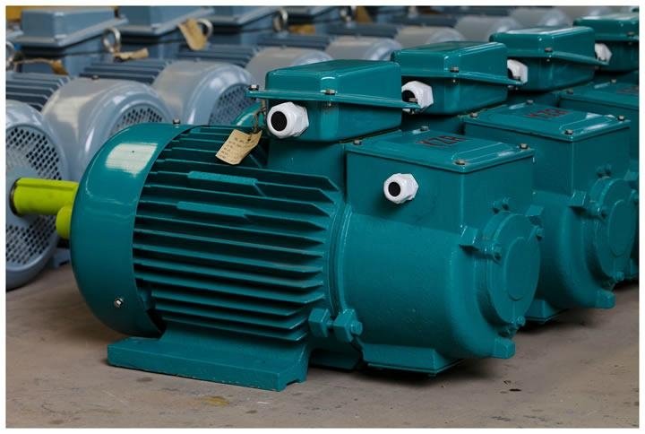 Three Phase Industrial Electric Motor 4