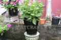 Recycled rubber planters