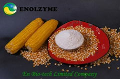 ENOLZYME Alpha-galactosidase 2 000