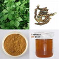 Siberian Gingseng P.E 5