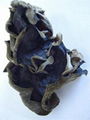 Auricularia auricula Extract 5