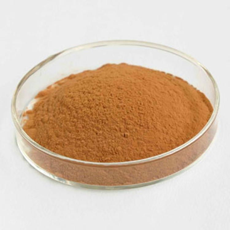  Rhodiola Rosea Extract 5