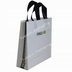 Plastic Gusset Bag