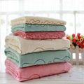 Bochang Customized Color Microfiber Bath Towel 1