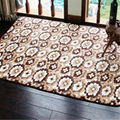 Coral Velvet Printing Rug Floor Carpet