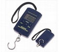 40kg Cheapest Digital Hanging Scale from