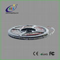 High quality led strip light,SMD2835