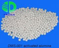 high absorption alumina for water treatment activated alumina sphere 1