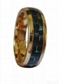 Fashion stainless steel ring with Gold plated 4