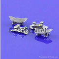 Metal Brackets-Molar Bracket 1