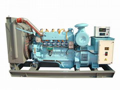 Natural gas generator 100kW