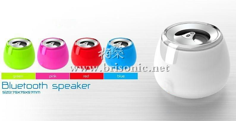 Bluetooth Speaker 3