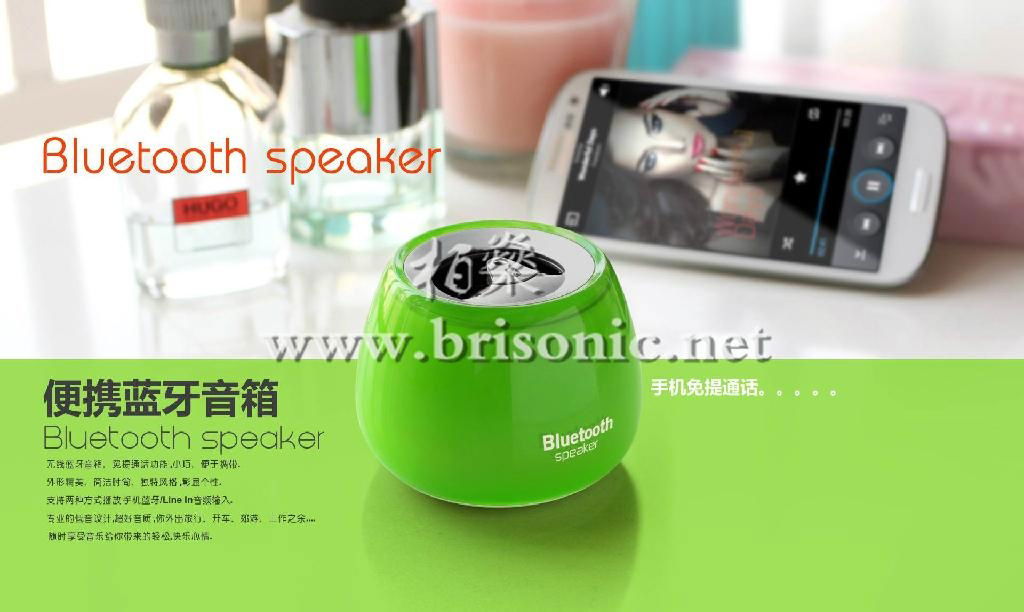 Bluetooth Speaker 5