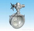 Lever type seal  butterfly valve