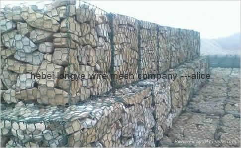 Gabion mesh