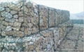 Gabion mesh