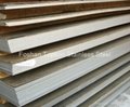 201/304 Cold Rolled Stainless Steel Sheet 5