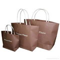 Paper Bags 4