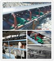 Flexible electronic belt scale in conveyor 5