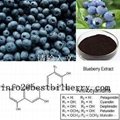 100% Natural Plant Extract 25% anthocyanins European Bilberry Extract/bilberry p
