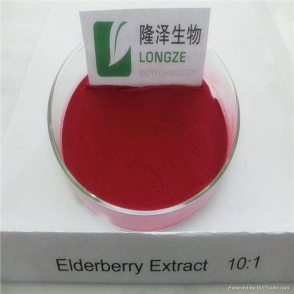 elderberry extract powder