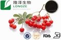Natural Chokeberry Extract powder