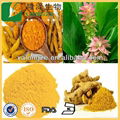 Organic turmeric powder price