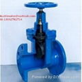 Resilient seated gate valve 1