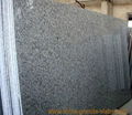  G439 Granite Slabs 1