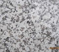  G439 Granite Slabs 2