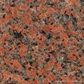 Maple-Leaf Red G562 Granite Slabs 1