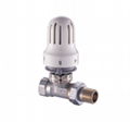 Thermostatic Radiator Control Valve 2