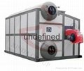 Double Drum Chain-grate Coal-fired Boiler