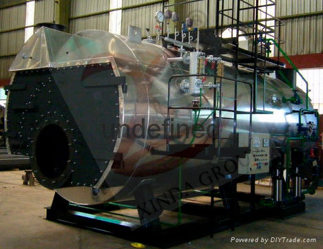Double Drum Chain-grate Coal-fired Boiler 2