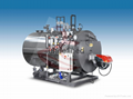 Coal-fired Organic Heat Carrier Boiler 1