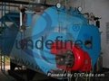 Industial usage steam output 6 ton gas