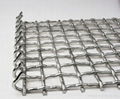 crimped wire mesh 1