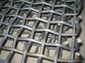 crimped wire mesh 3