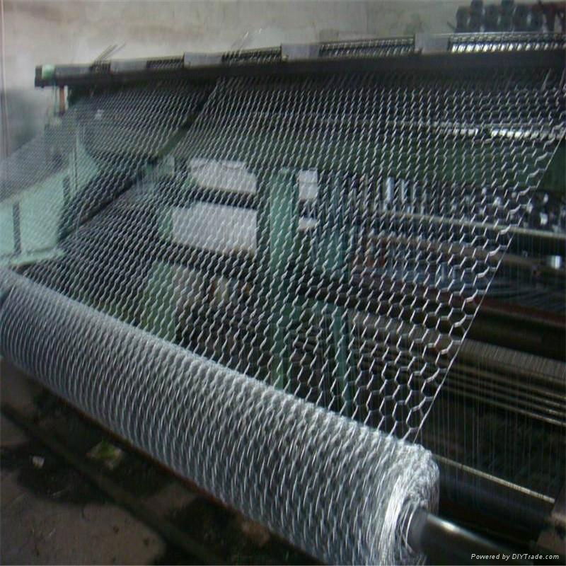 heavy hexagonal wire netting 2