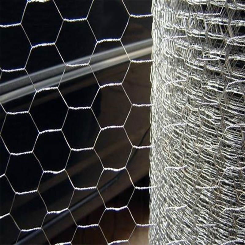 galvanized/pvc coated wire mesh netting